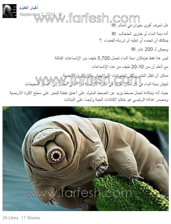 الكائن الذي سيرث الأرض بعد نهاية العالم يبلغ طوله نصف مليمتر! صورة رقم 1
