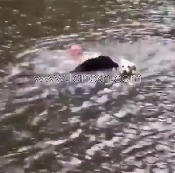 قمة الوفاء.. كلبان يقفزان في المياه لإنقاذ صاحبهما الذي تظاهر بالغرق صورة رقم 9