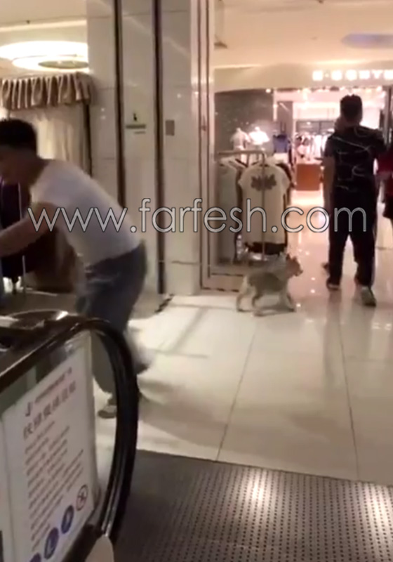 فيديو طريق.. تصرف غير متوقع لشاب كاد أن يسقط بنطاله صورة رقم 8