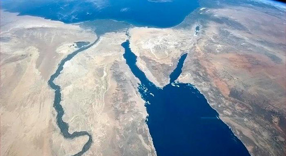 صور حديقة الازهر (جنة في قلب القاهرة): من أجمل حدائق العالم    صورة رقم 1