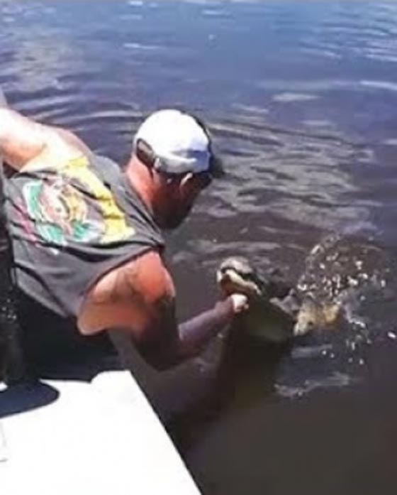 مرشد سياحي يقوم بأخطر مغامرة حين يستدعي تمساحا لتقبيله صورة رقم 1 مرشد سياحي يقوم بأخطر مغامرة حين يستدعي تمساحا لتقبيله صورة رقم 1