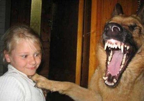 صور طريفة التقطت في اللحظة المناسبة تماما.. شاهد وتمتع صورة رقم 4