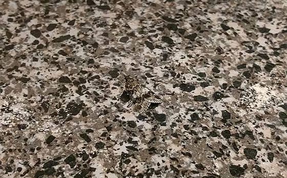 مصادفات غريبة جمعت بين ملابس اشخاص والبيئة من حولهم.. شاهد صورة رقم 4