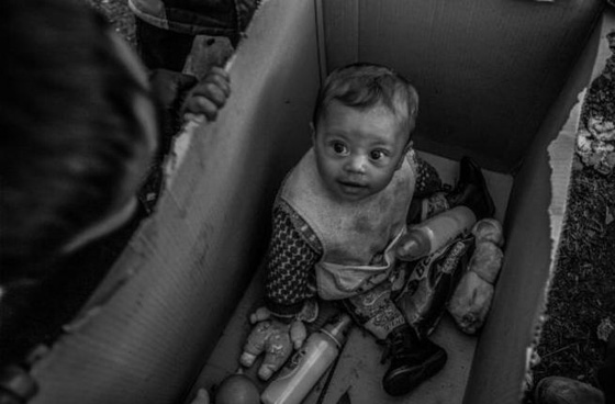 صور اختارها الجمهور ضمن مسابقة (ستينين) للتصوير الصحفي.. من سيفوز بالجائزة؟ صورة رقم 1