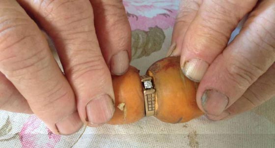 سيدة تعثر على خاتمها الضائع في قلب جزرة بعد 13 عاما! صورة رقم 2