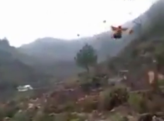 شاهدوا الدجاج الطائر فقط في الصين .. فيديو طريف صورة رقم 3