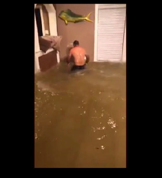 أمريكي يصطاد سمكة داخل منزله.. أطرف ما يمكن أن تشاهده في كارثة هارفي صورة رقم 1