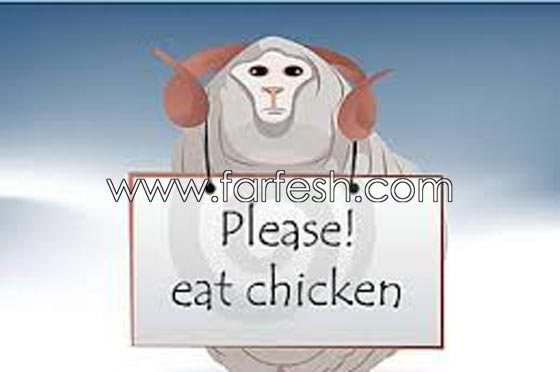 صور مضحكة: 32 كاريكاتير خروف العيد، وكل عام وأنتم بخير.. صورة رقم 15