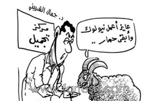 صور مضحكة: 32 كاريكاتير خروف العيد، وكل عام وأنتم بخير.. صورة رقم 2