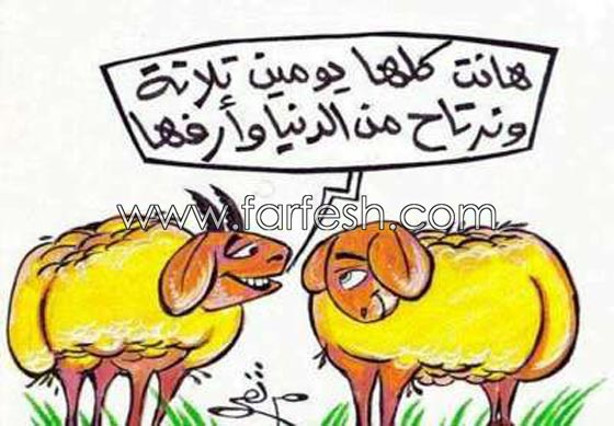 صور مضحكة: 32 كاريكاتير خروف العيد، وكل عام وأنتم بخير.. صورة رقم 24