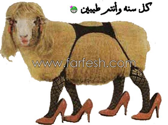 صور مضحكة: 32 كاريكاتير خروف العيد، وكل عام وأنتم بخير.. صورة رقم 11