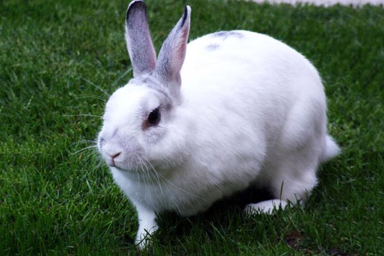 صحّح معلوماتك... 10 حقائق نؤمن بها اثبت العلم انها خاطئة! صورة رقم 8