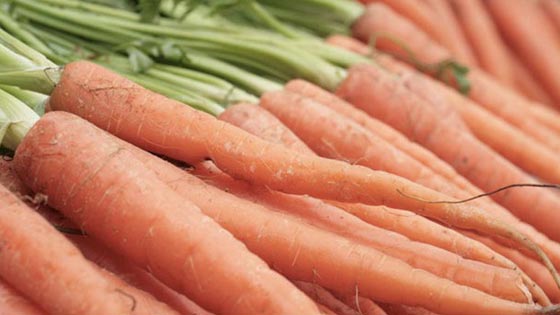 صحّح معلوماتك... 10 حقائق نؤمن بها اثبت العلم انها خاطئة! صورة رقم 7