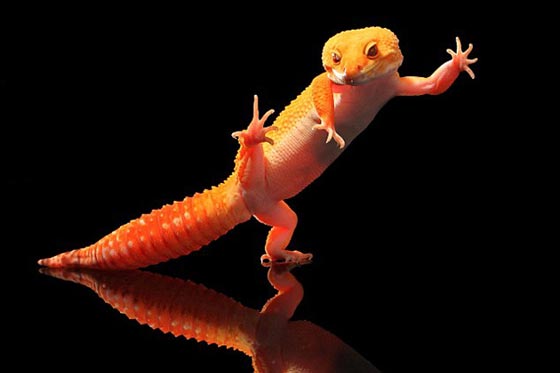 صحّح معلوماتك... 10 حقائق نؤمن بها اثبت العلم انها خاطئة! صورة رقم 3