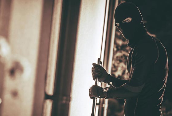 معلومات مثيرة لا تخلو من الطرافة عن اغبى 10 لصوص في العالم صورة رقم 11