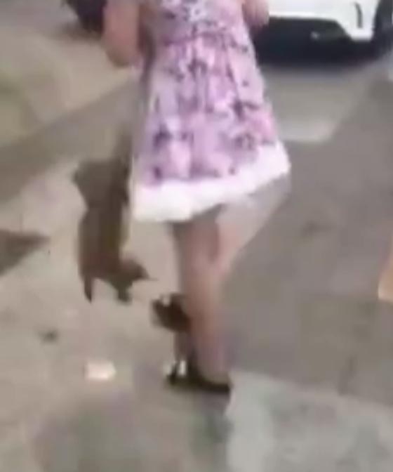 فيديو مثير.. امرأة تفزع المارة بوحشيتها تجاه كلبها الصغير صورة رقم 1