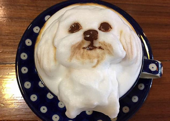 صور طريفة ومذهلة.. فنجان القهوة يحمل ملامح حيوانك الأليف في تايوان صورة رقم 1