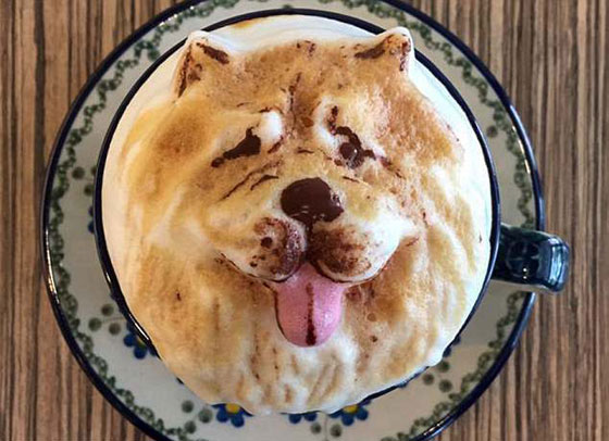 صور طريفة ومذهلة.. فنجان القهوة يحمل ملامح حيوانك الأليف في تايوان صورة رقم 3