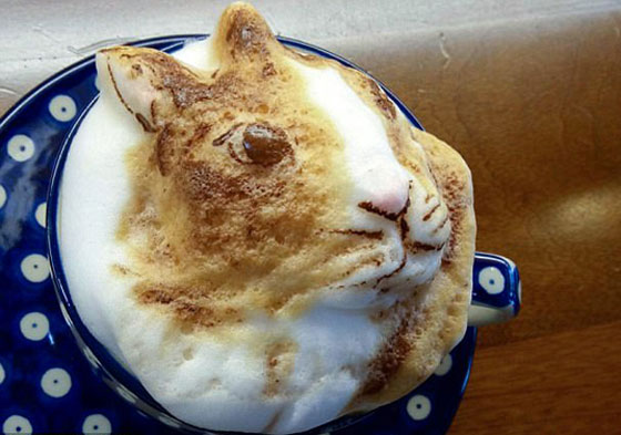 صور طريفة ومذهلة.. فنجان القهوة يحمل ملامح حيوانك الأليف في تايوان صورة رقم 5