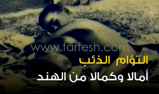 فيديو مذهل: قصص حقيقية لأطفال ربَّتهم الحيوانات في الغابات  صورة رقم 5