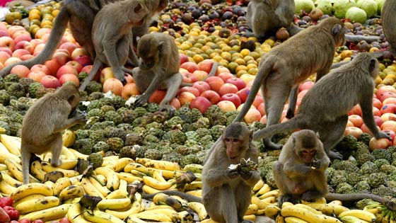 صور اغرب مهرجانات العالم: من الرقص فوق النار الى حمل الزوجات!   صورة رقم 5
