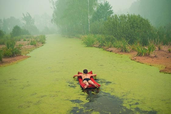 26 صورة مبهرة وساحرة للإبداع والجمال المستوحى من الطبيعة صورة رقم 9