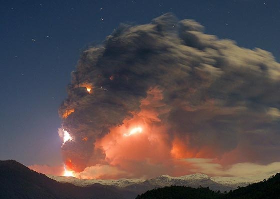 26 صورة مبهرة وساحرة للإبداع والجمال المستوحى من الطبيعة صورة رقم 21