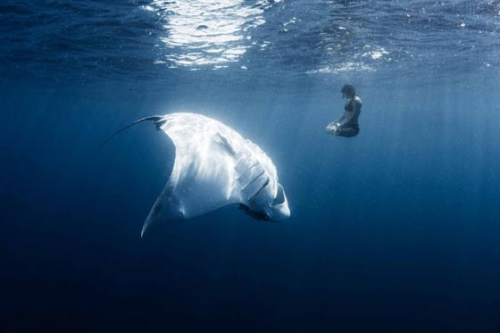 26 صورة مبهرة وساحرة للإبداع والجمال المستوحى من الطبيعة صورة رقم 23