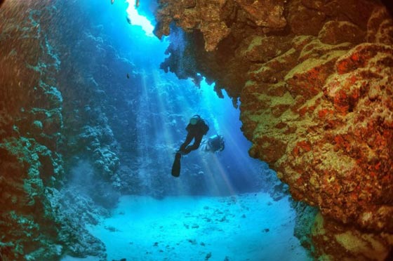 ظواهر غريبة تحدث في عمق البحر.. الوميض الاخضر وسُكر الاعماق صورة رقم 1