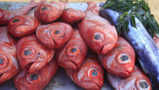 بالصور.. هذا ما تخفيه جزيرة القيامة أغرب جزر العالم  صورة رقم 8