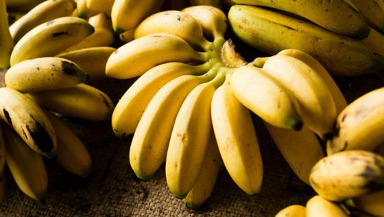 لتفادي الأزمات القلبية والسكتة الدماغية: تناول موزتين يوميا! صورة رقم 2