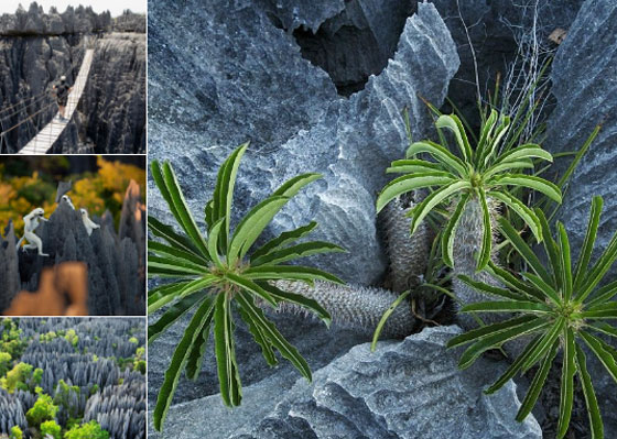 مناطق سياحية عليك زيارتها قبل ان تختفي صورة رقم 2