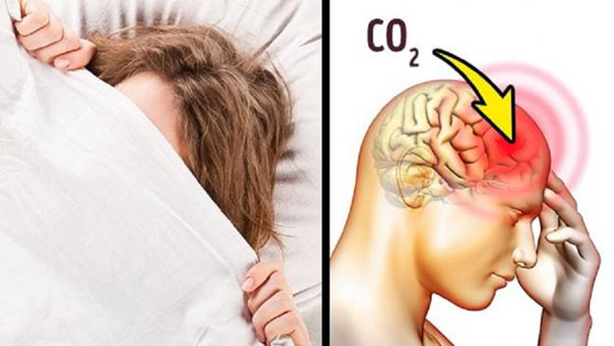 البوظة والرجيم.. أسباب غير متوقعة تؤدي إلى أضرار المخ صورة رقم 8