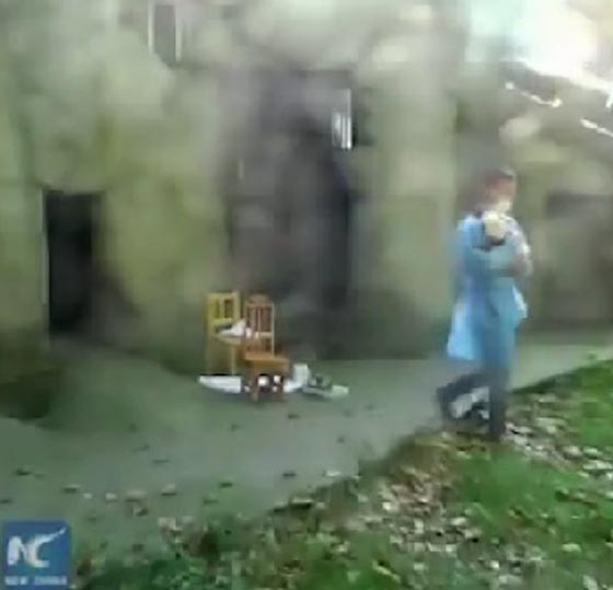 فيديو ظريف.. حارس يكتب ملاحظات على ظهر صغير باندا وهو مسترخ صورة رقم 3