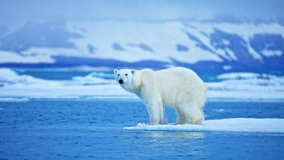 هذا ما سيحدث حتى عام 2050.. صور!! صورة رقم 9