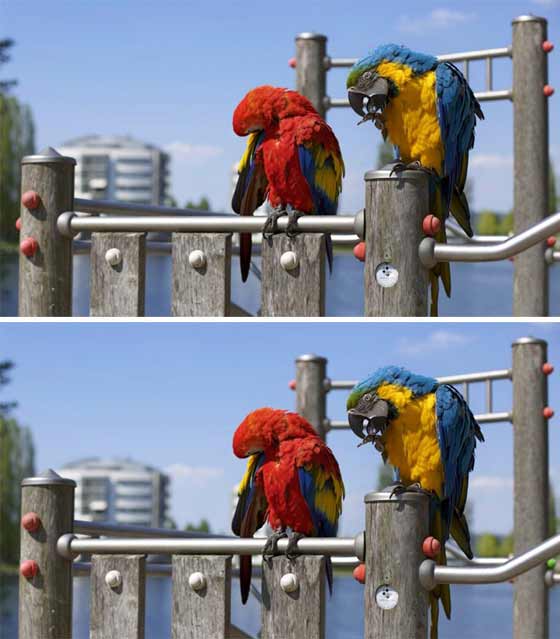 للأذكياء فقط.. استخرج الفروق والاختلافات في الصور صورة رقم 3