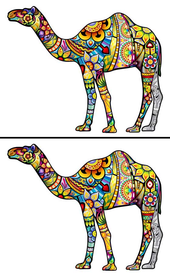 للأذكياء فقط.. استخرج الفروق والاختلافات في الصور صورة رقم 7