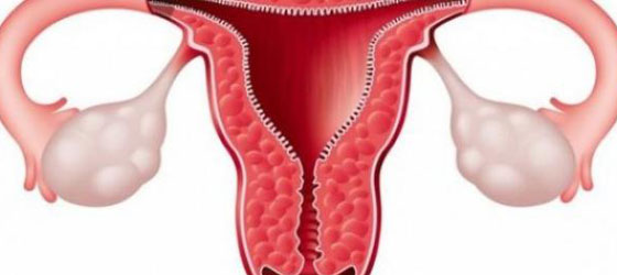 هذه أعضاء الجسم التي يمكن للإنسان الاستغناء عنها صورة رقم 4