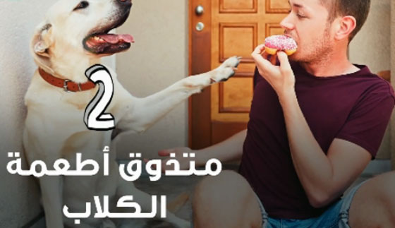 فيديو أغرب الوظائف: شم الابطين، تذوّق طعام الكلاب واحتضان الغير! صورة رقم 2
