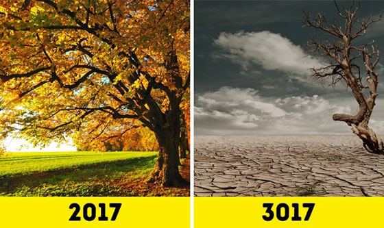 شاهدوا كيف سيصبح عليه شكل الأرض والبشر بعد 1000 عام صورة رقم 6