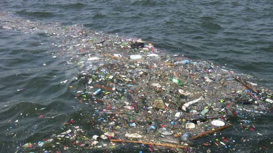 حقائق مذهلة وغريبة عن الماء.. تعرفوا عليها صورة رقم 5