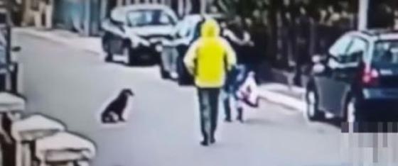 بالفيديو.. كلب شجاع انقذ سيدة من تعرضها للسرقة صورة رقم 1 بالفيديو.. كلب شجاع انقذ سيدة من تعرضها للسرقة صورة رقم 1