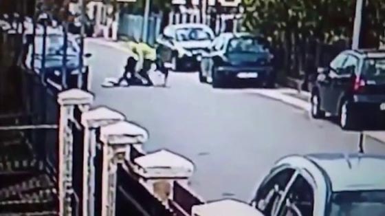 بالفيديو.. كلب شجاع انقذ سيدة من تعرضها للسرقة صورة رقم 2 بالفيديو.. كلب شجاع انقذ سيدة من تعرضها للسرقة صورة رقم 2