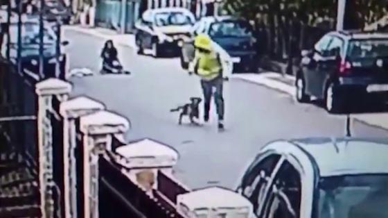 بالفيديو.. كلب شجاع انقذ سيدة من تعرضها للسرقة صورة رقم 4 بالفيديو.. كلب شجاع انقذ سيدة من تعرضها للسرقة صورة رقم 4
