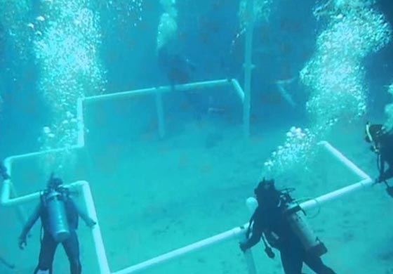 بالصور.. اليكم أغرب المساجد في العالم واكثرها ادهاشاً صورة رقم 6 بالصور.. اليكم أغرب المساجد في العالم واكثرها ادهاشاً صورة رقم 6