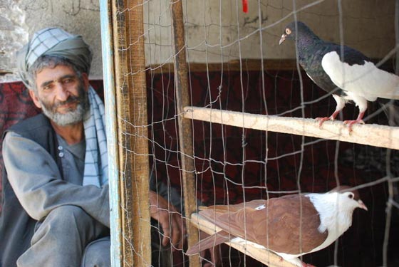 بالصور.. أغرب الأسواق ذات طبيعة فريدة وتصميم غريب صورة رقم 4