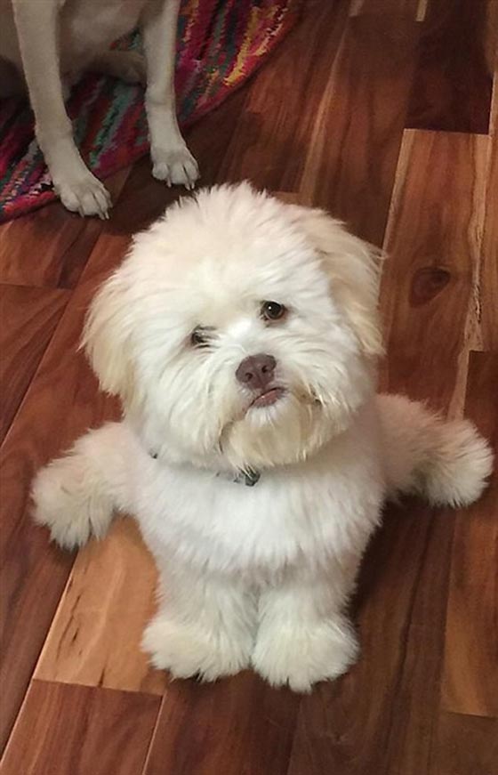 صور غريبة حيّرت الجميع! هل ستدرك انت حقيقتها ام تحتار كغيرك؟ صورة رقم 3 صور غريبة حيّرت الجميع! هل ستدرك انت حقيقتها ام تحتار كغيرك؟ صورة رقم 3