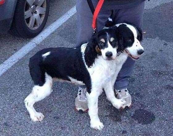 صور غريبة حيّرت الجميع! هل ستدرك انت حقيقتها ام تحتار كغيرك؟ صورة رقم 1 صور غريبة حيّرت الجميع! هل ستدرك انت حقيقتها ام تحتار كغيرك؟ صورة رقم 1