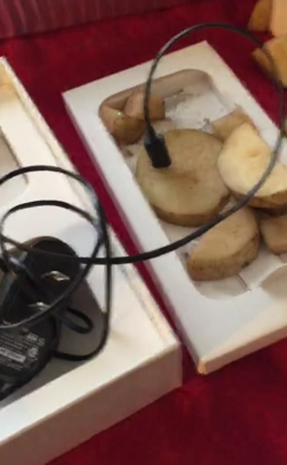 أمريكية حصلت على بطاطا في علبة الآيفون.. فيديو صورة رقم 2