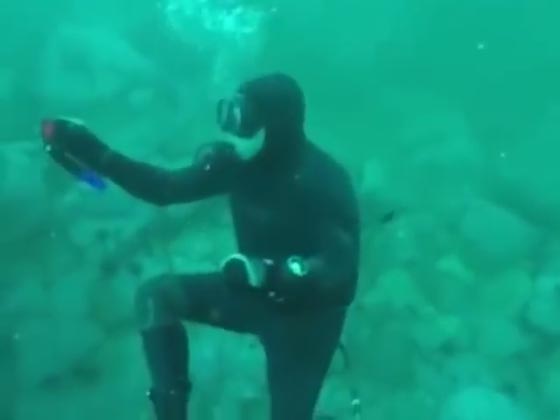 قرش يفاجئ غواصا وآخر يهاجم زوجة المصور صورة رقم 2